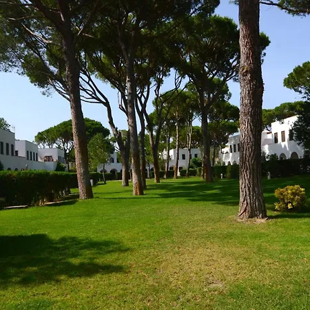 Piverd Del Golf 56 * Pals